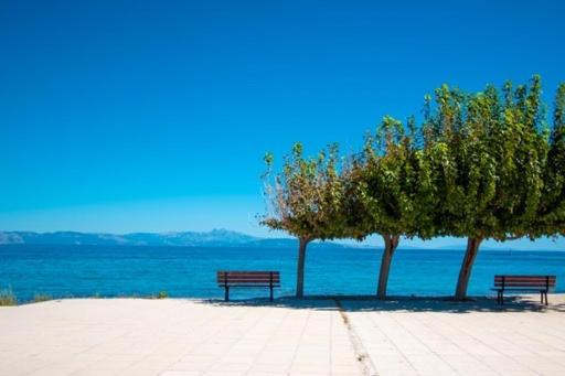 Lavish & Spacious Apt With Stunning Seaview, 10 Min Ath Airport Artemida  Exteriér fotografie